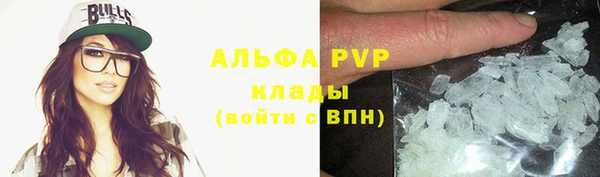 сатива Баксан