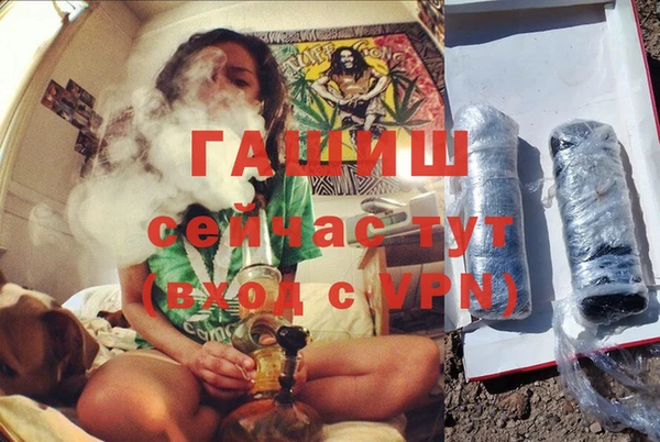 сатива Баксан