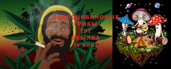 мет Арсеньев