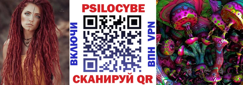 Псилоцибиновые грибы Psilocybine cubensis  Саров 