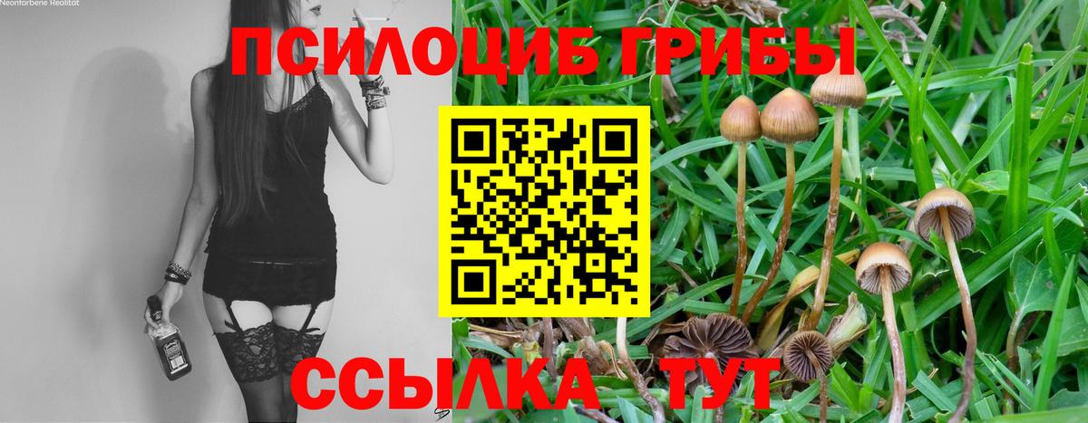Галлюциногенные грибы Psilocybe  Вход с VPN  Саров 